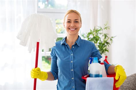 A Spotless Home Awaits: Using Magic Iron Cleaners for a Hygienic Living Space